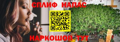 спиды Лесосибирск