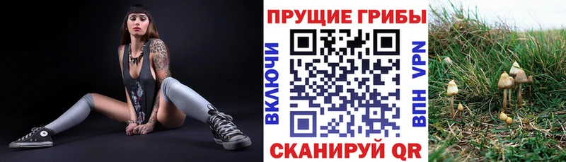 Галлюциногенные грибы ЛСД сайты даркнета клад Вологда