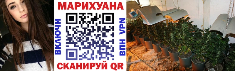 Конопля марихуана  Вологда 
